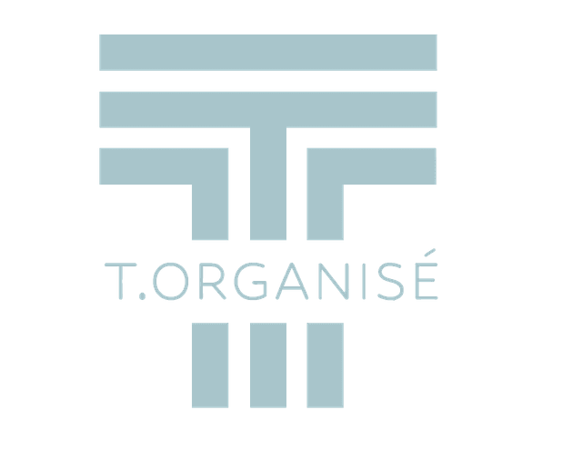 logo T.organise